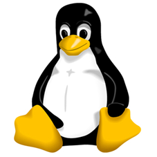 LINUX